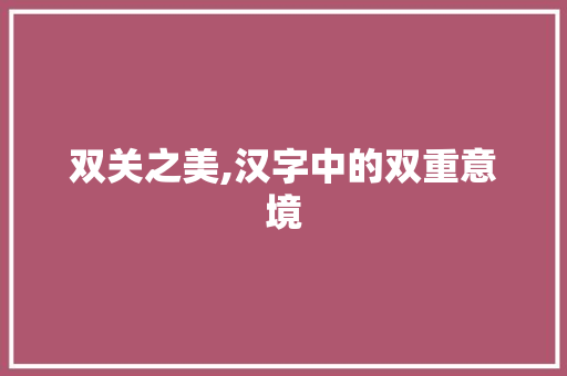 双关之美,汉字中的双重意境