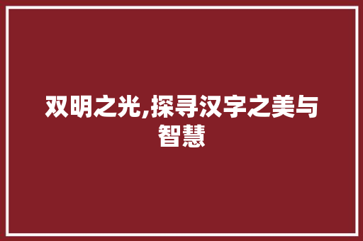 双明之光,探寻汉字之美与智慧