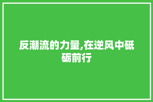 反潮流的力量,在逆风中砥砺前行