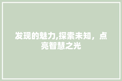 发现的魅力,探索未知，点亮智慧之光