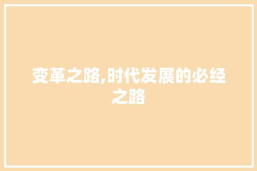 变革之路,时代发展的必经之路 工作总结