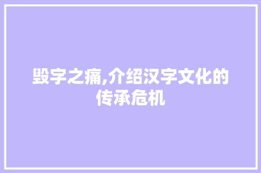 毁字之痛,介绍汉字文化的传承危机