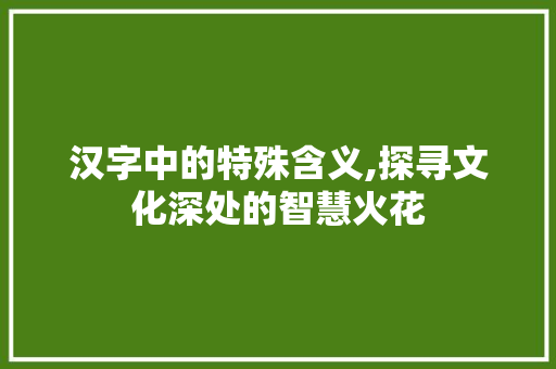 汉字中的特殊含义,探寻文化深处的智慧火花