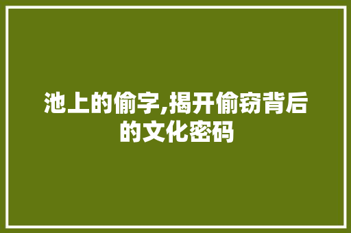 池上的偷字,揭开偷窃背后的文化密码