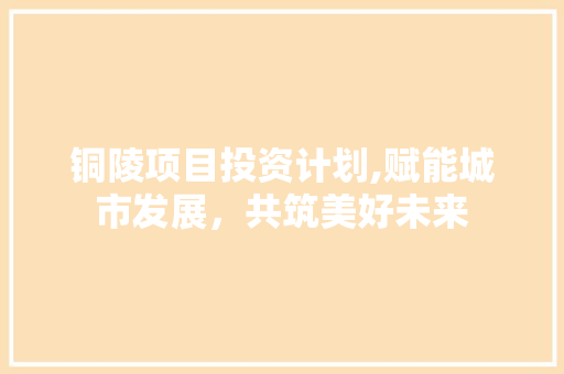 铜陵项目投资计划,赋能城市发展，共筑美好未来