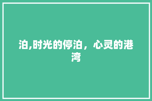 泊,时光的停泊，心灵的港湾
