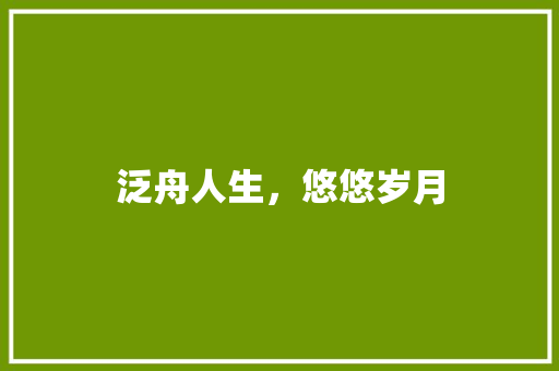 泛舟人生，悠悠岁月
