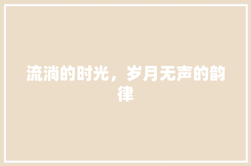 流淌的时光，岁月无声的韵律