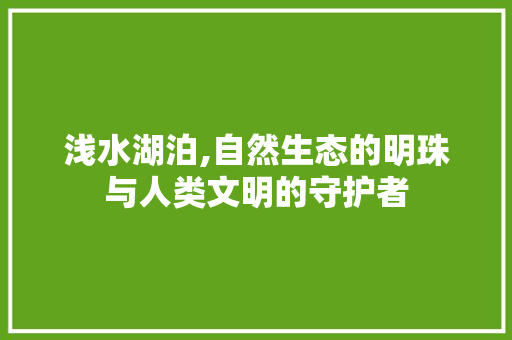 浅水湖泊,自然生态的明珠与人类文明的守护者 工作总结