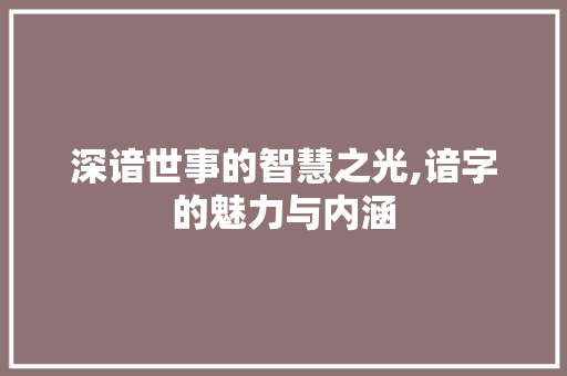 深谙世事的智慧之光,谙字的魅力与内涵