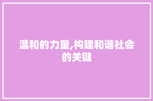温和的力量,构建和谐社会的关键