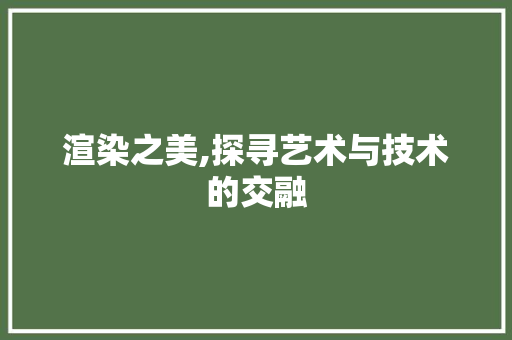 渲染之美,探寻艺术与技术的交融