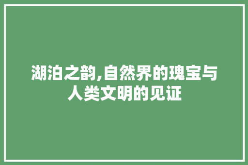 湖泊之韵,自然界的瑰宝与人类文明的见证