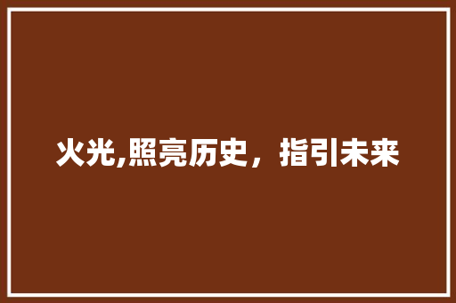 火光,照亮历史，指引未来 工作总结