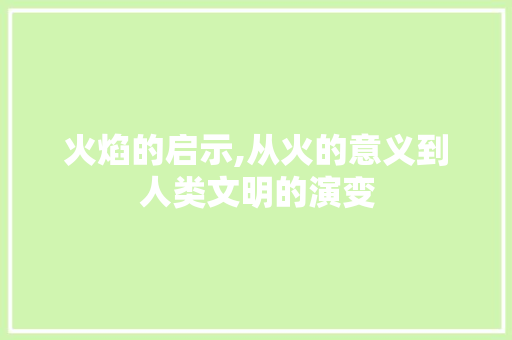 火焰的启示,从火的意义到人类文明的演变 工作类