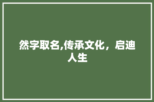 然字取名,传承文化，启迪人生