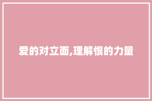 爱的对立面,理解恨的力量 工作总结