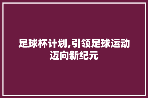 足球杯计划,引领足球运动迈向新纪元 工作总结