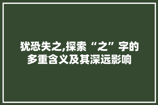 犹恐失之,探索“之”字的多重含义及其深远影响