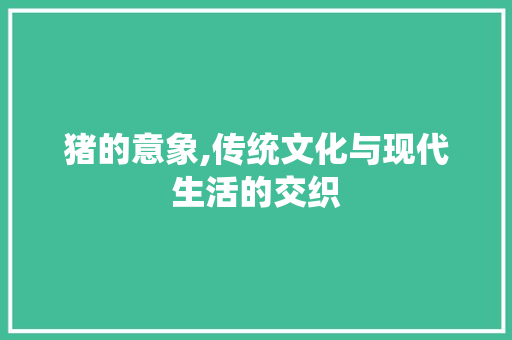 猪的意象,传统文化与现代生活的交织