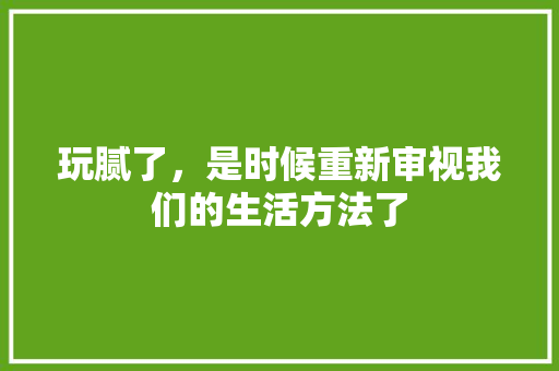 玩腻了，是时候重新审视我们的生活方法了