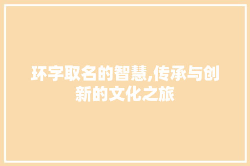 环字取名的智慧,传承与创新的文化之旅