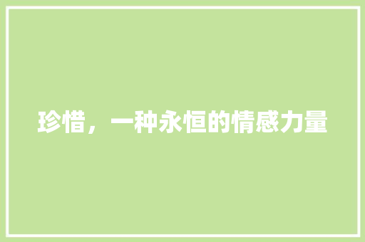 珍惜，一种永恒的情感力量