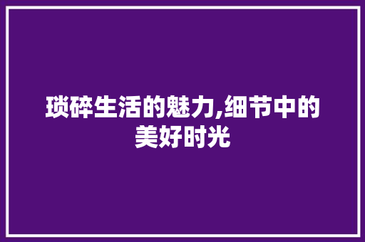 琐碎生活的魅力,细节中的美好时光