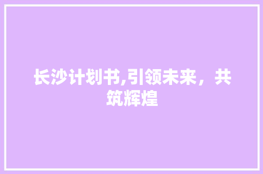 长沙计划书,引领未来，共筑辉煌