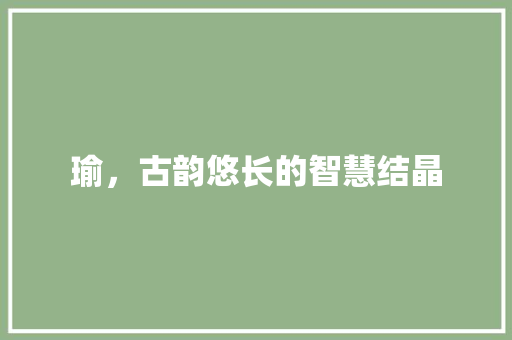 瑜，古韵悠长的智慧结晶 工作总结