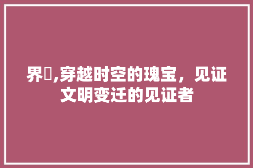 界珵,穿越时空的瑰宝，见证文明变迁的见证者