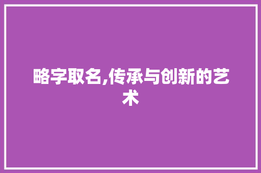 略字取名,传承与创新的艺术