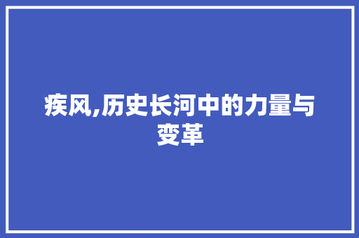 疾风,历史长河中的力量与变革