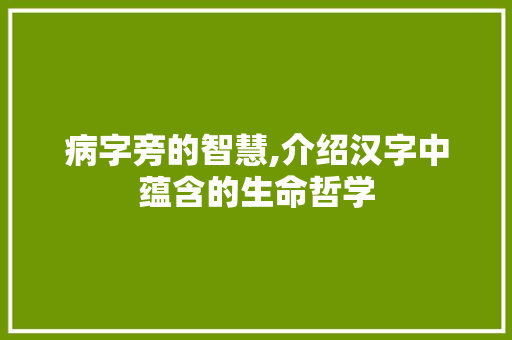 病字旁的智慧,介绍汉字中蕴含的生命哲学
