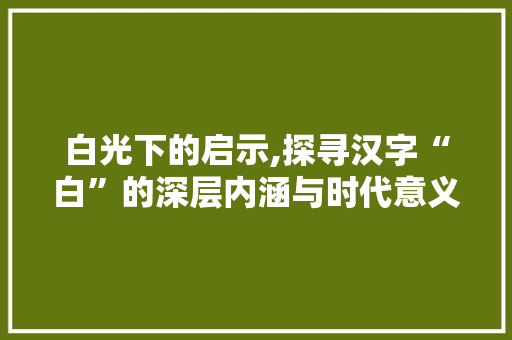 白光下的启示,探寻汉字“白”的深层内涵与时代意义