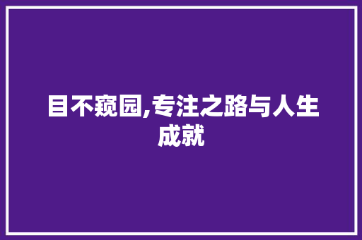 目不窥园,专注之路与人生成就