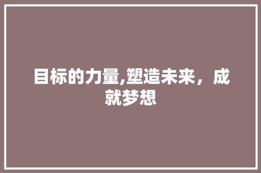 目标的力量,塑造未来，成就梦想