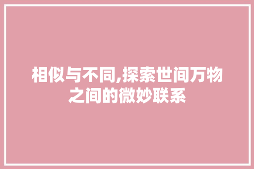 相似与不同,探索世间万物之间的微妙联系