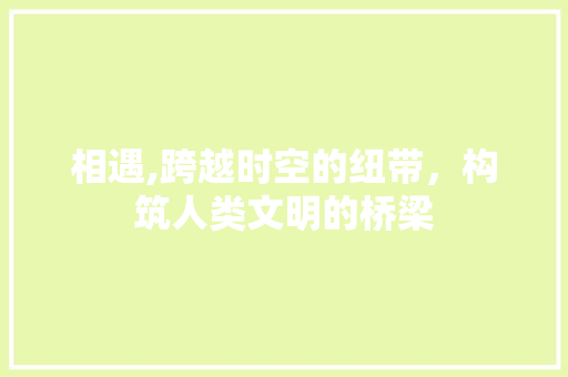 相遇,跨越时空的纽带，构筑人类文明的桥梁
