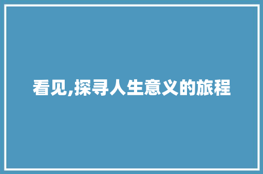 看见,探寻人生意义的旅程