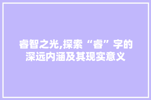 睿智之光,探索“睿”字的深远内涵及其现实意义