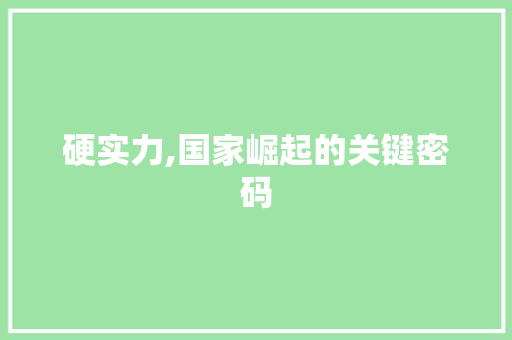 硬实力,国家崛起的关键密码
