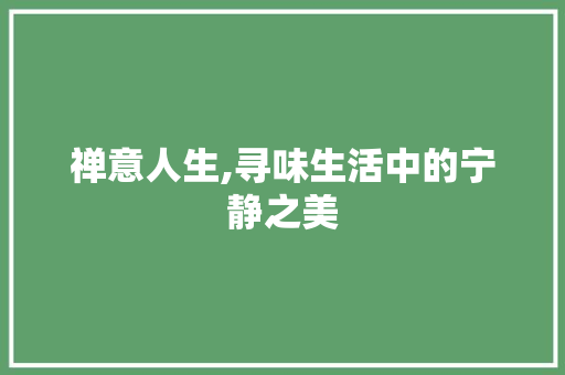 禅意人生,寻味生活中的宁静之美