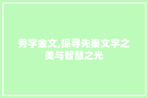 秀字金文,探寻先秦文字之美与智慧之光
