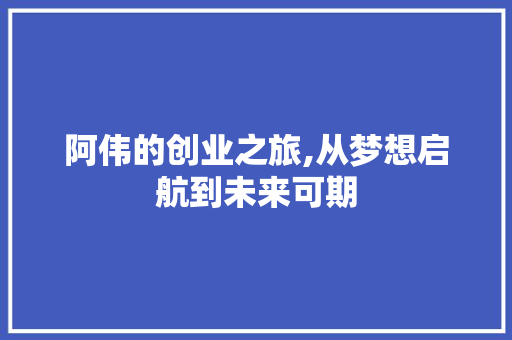 阿伟的创业之旅,从梦想启航到未来可期