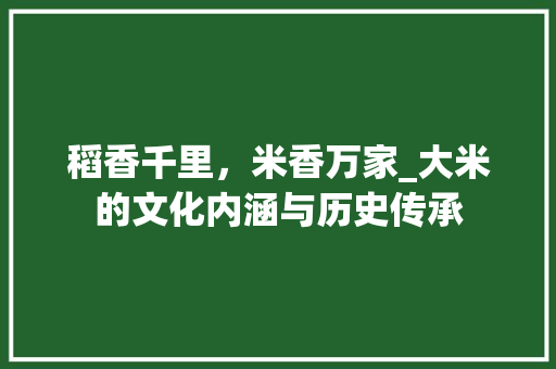 稻香千里，米香万家_大米的文化内涵与历史传承