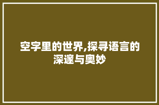 空字里的世界,探寻语言的深邃与奥妙
