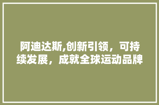 阿迪达斯,创新引领，可持续发展，成就全球运动品牌领袖