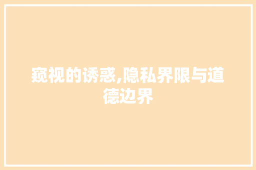 窥视的诱惑,隐私界限与道德边界 工作类