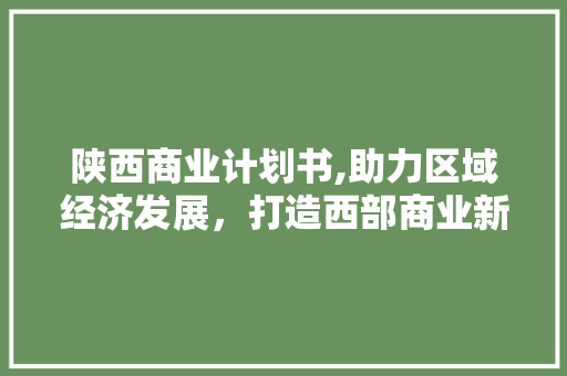 陕西商业计划书,助力区域经济发展，打造西部商业新引擎
